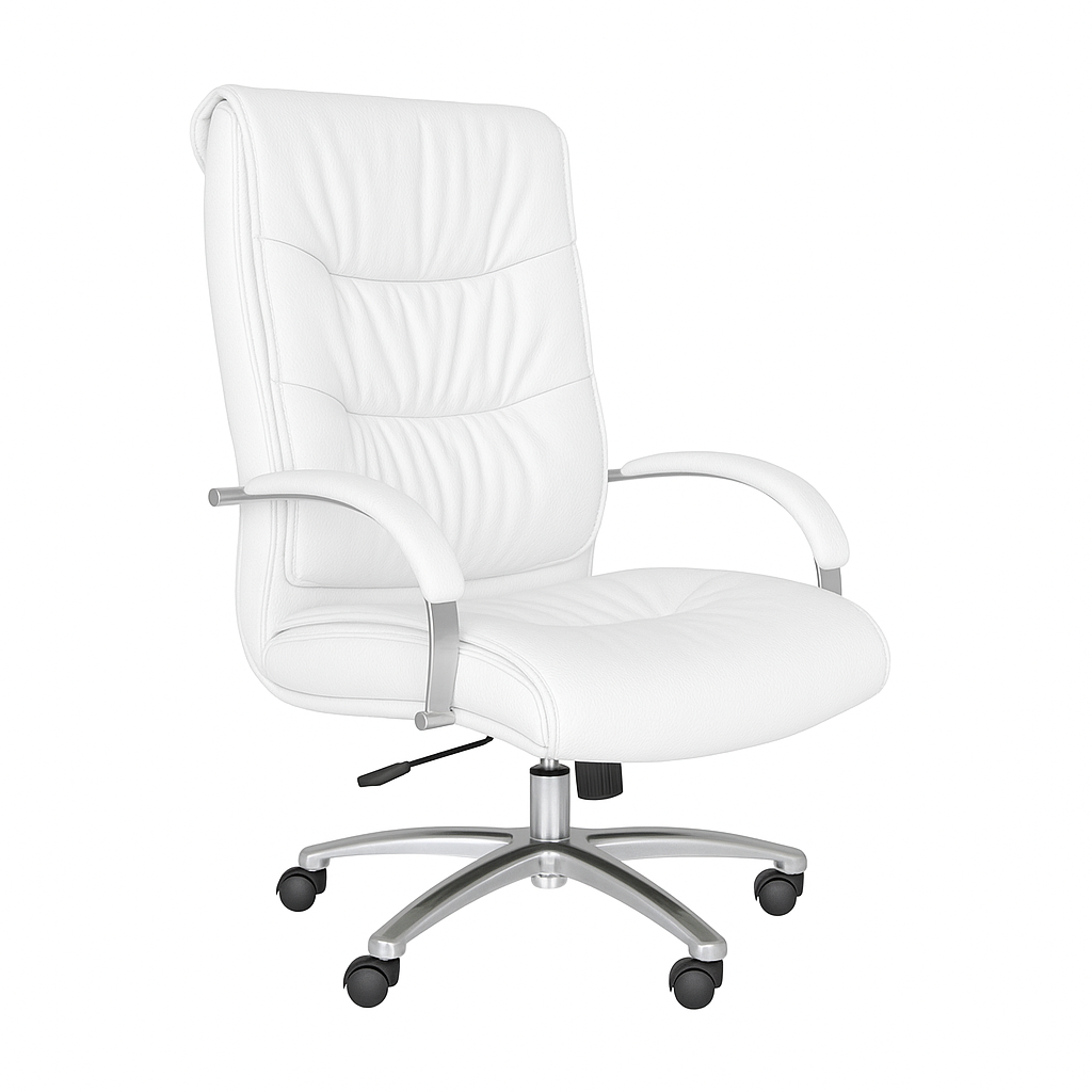 Scaun birou piele ALBA | model BIG STAR P