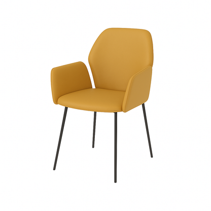 Scaun piele ALBA | model PETRA